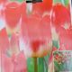 TULIP MATCH 7PP
