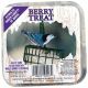 SUET BERRY TREAT