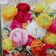 BULB RANUNCULUS MIX 10PP