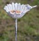 BIRD FEEDER GARDEN STAKE WHITE DAISY