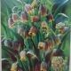 FRITILLARIA 'FOX'S GRAPE' 20PP