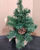 EVERGREEN LED TREE - SMALL