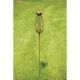 AG PINEAPPLE RAIN GAUGE STAKE