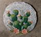 STEPPING STONE SUCCULENT