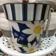DAISY GARDEN BLUES 12