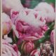 TULIP DOUBLE SURPRISE 7PP