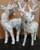 WHITEWASHED BARK REINDEER