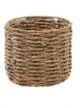 SEAGRASS TREE COVER MEDIUM