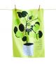 DISH TOWEL ALL MY FRIENDS ARE HOUSE PLANTS