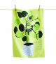 DISH TOWEL ALL MY FRIENDS ARE HOUSE PLANTS
