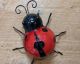 LADYBUG WALL MOUNTABLE SMALL