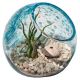 APRICOT MINT ART GLASS TERRARIUM ORB 7