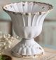 SCALLOPED CUP - MEDIUM