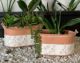 VIP PLANTER FLORAL OVAL SMALL