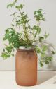 GARDEN JAR - PARSLEY