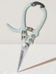 PRUNING SHEARS