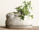 CEMENT RABBIT PLANTER W/SAUCER