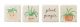 COASTER SET OF 4 PLANTER PEOPLE