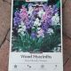 WOOD HYACINTH MIX 10PP