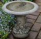 BIRDBATH SPRING MEADOW (1 PC)