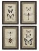 WALL DECOR FRAMED  WITH INSECT PRINT