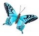 BUTTERFLY METAL BLUE WALL ART