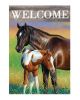 FLAG GARDEN MARE & FOAL