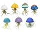 AIR PLANT HOLDER JELLY FISH
