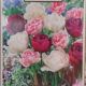 TULIP DOUBLE DUTCH MIX 7PP
