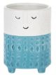 TALL FACE PLANTER BLUE STRIPE