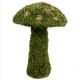 SUPERMOSS MUSHROOM MEDIUM