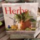 CALENDAR 2024 HERBS