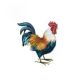 ROOSTER GOLDEN DUCKWING REGAL ART MEDIUM