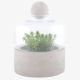 TERRARIUM BOTTLE CONCRETE BASE