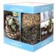 SUPERMOSS KOKEDAMA SUCCULENT KIT