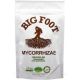 BIG FOOT 4OZ. MYCORRHIZAE GRANULAR