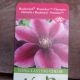 CLEMATIS POSEIDON #1.5