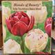 TULIP TOUCHDOWN DANCE BLEND 10P