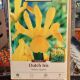 IRIS YELLOW QUEEN 20PP