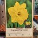 NARCISSUS EXCEPTION 8PP