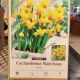 NARCISSUS JETFIRE 8PP