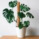 PLANT SUPPORT 11