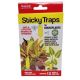 STICKY TRAPS FOR HOUSEPLANT INSECTS