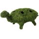 SUPERMOSS TURTLE PLANTER