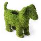 SUPRMOSS PUPPY PLANTER