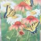 FLAG GARDEN YELLOW TIGER SWALLOWTAIL