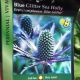 ERYNGIUM BLUE GLITTER #2