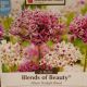 BULB ALLIUM STARLIGHT MX 6PP