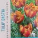 TULIP BASTIA 8PP