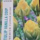 TULIP VANILLA COUP 8PP